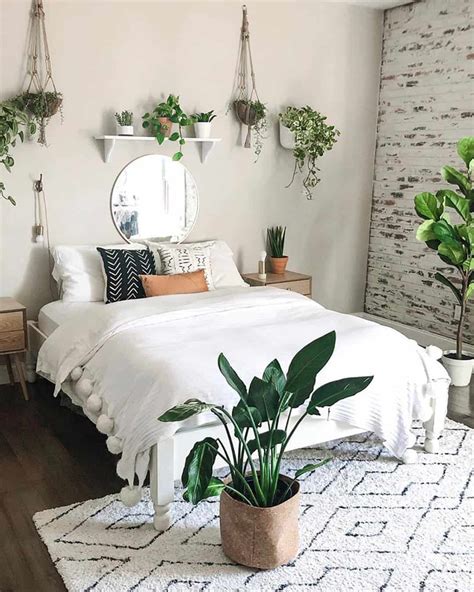 bedroom flowers|calming plants for bedroom.